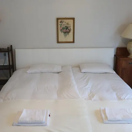 Pastel Guest house 2*